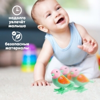 Игрушка заводная &laquo;Яркая птичка&raquo;, МИКС