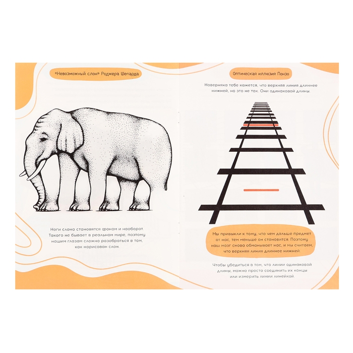 Набор &laquo;Оптические иллюзии&raquo;, 4 книги по 36 стр., 7+