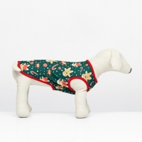 Толстовка "Пряня", размер L (ДС 35, ОШ 35, ОГ 45 см), зелёная Толстовка "Пряня", размер L (ДС 35, ОШ 35, ОГ 45 см), зелёная