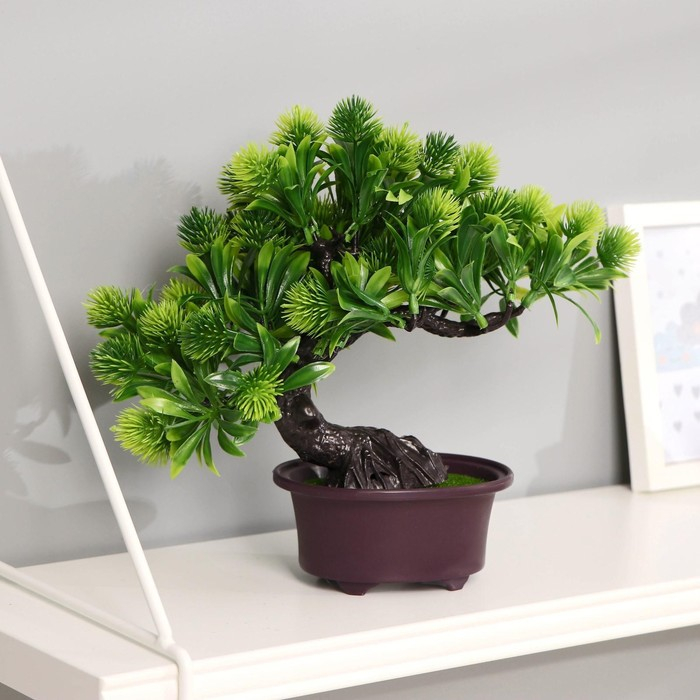 Бонсай в горшке "Пушистоцвет" 12х22 см, микс