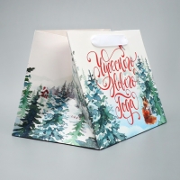 Пакет подарочный новогодний с широким дном &laquo;Новогодние чудеса&raquo;, 25 х 19 х 18 см, Новый год