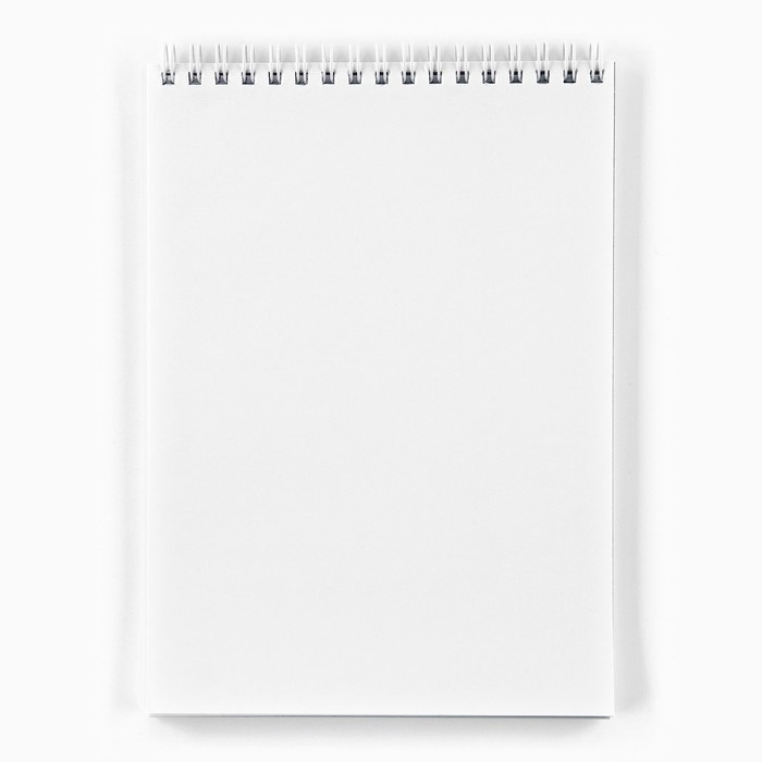 Скетчбук &laquo;Мечтай.Создавай.Действуй МЯТНЫЙ&raquo; А5, 40 л, 100 г/м