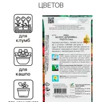 Семена комнатных цветов Колеус "Блюма Радуга", 130 шт.