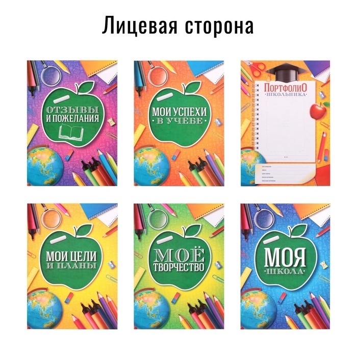 Папка школьная на кольцах &laquo;Портфолио школьника&raquo;, 6 листов-разделителей, 24,5 х 32 см.