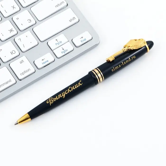 Ручка шариковая подарочная в конверте пластик, синяя паста, 1.0 мм &laquo;Выпускнику школы&raquo;