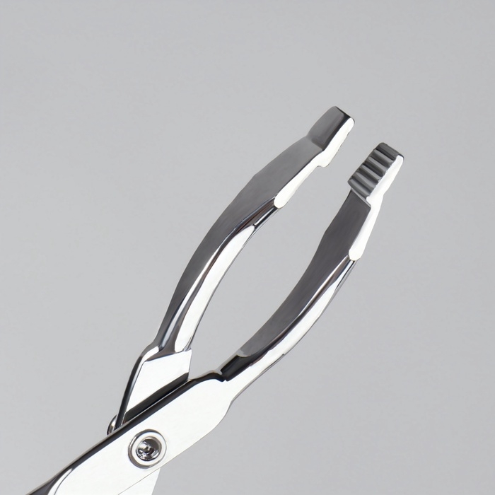 Пинцет в форме ножниц, изогнутый, 8 см, цвет серебристый Пинцет в форме ножниц, изогнутый, 8 см, цвет серебристый