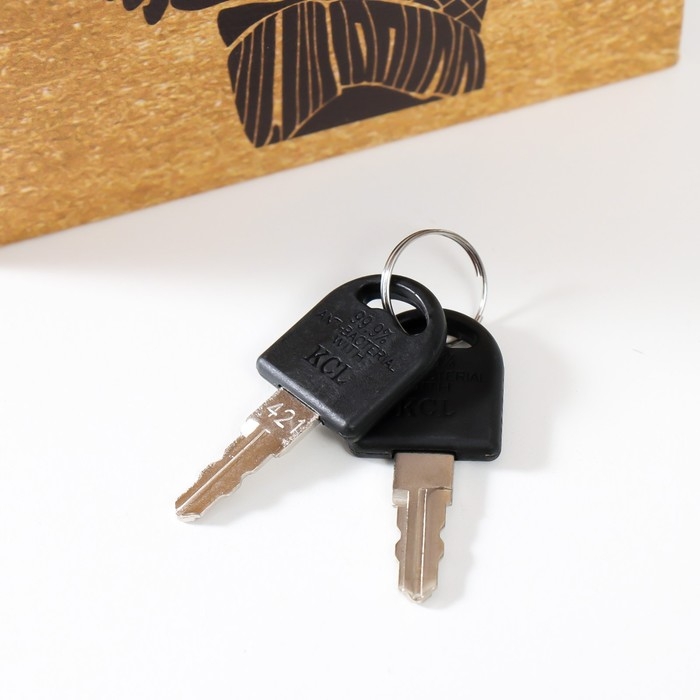 Сейф-книга дерево кожзам "Африканка с вазой с фруктами" 21х13х5 см