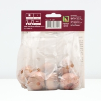 Гладиолус крупноцветковый &laquo;Джессика&raquo;, луковица цветов в пакете с перфорацией, р-р 10/12, 10 шт.