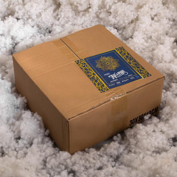 Гирлянда «Занавес» 2 × 9 м, IP44, УМС, белая нить, 1800 LED, свечение синее, 220 В Гирлянда «Занавес» 2 × 9 м, IP44, УМС, белая нить, 1800 LED, свечение синее, 220 В