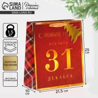 Пакет подарочный новогодний ламинированный &laquo;С Новым Годом&raquo;, 21,5 х 25 х 10 см, Новый год