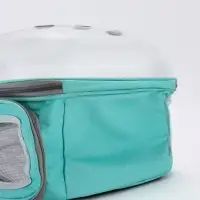 Рюкзак для переноски животных прозрачный, 31 х 28 х 42 см, бирюзовый