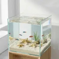 Набор из 3 морских звезд, размер 5-7 см, 7-10  см, 10-12 см, белые