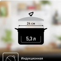 Кастрюля с крышкой Daily Cook G7124645, 24 см, 4.5 л