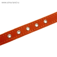 Ошейник кожаный на синтепоне, 45 х 2 см, ОШ 25-35 см, оранжевый Ошейник кожаный на синтепоне, 45 х 2 см, ОШ 25-35 см, оранжевый
