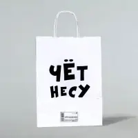 Пакет подарочный бумажный &laquo;Чёт несу&raquo;, 24&times;14&times;28 см