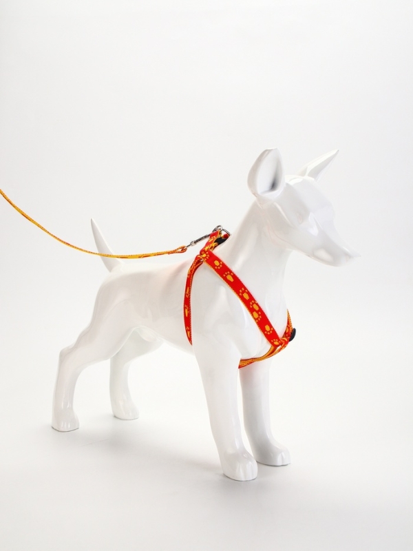 Комплект "Большая лапа", ширина 1,5 см, поводок 120 см, шлейка 28-42 см, оранжево-жёлтый