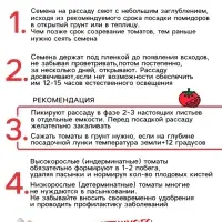 Семена Томат "Ляна", 0,1 г