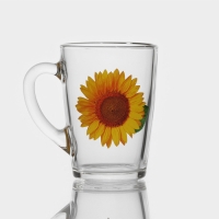 Кружка стеклянная &laquo;Коллекция цветов&raquo;, 300 мл, рисунок МИКС