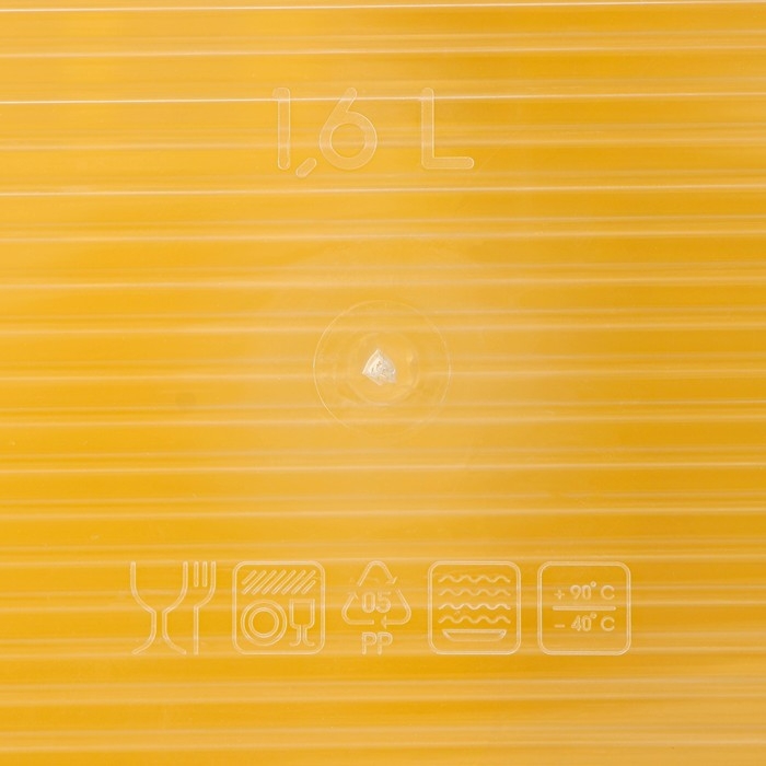 Набор пищевых контейнеров &laquo;BioFresh&raquo;, 3 шт: 1 л, 1,6 л, 2,3 л, цвет микс