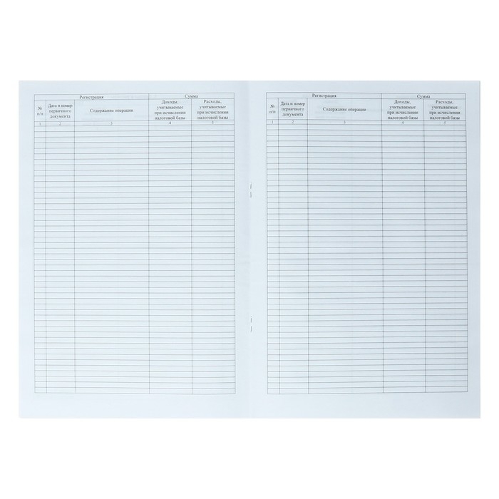Журнал учета доходов и расходов организаций и ИП, А4 20 листов