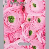 Пакет "Розовый букет, полиэтиленовый с вырубной ручкой 30х40 см, 60 мкм