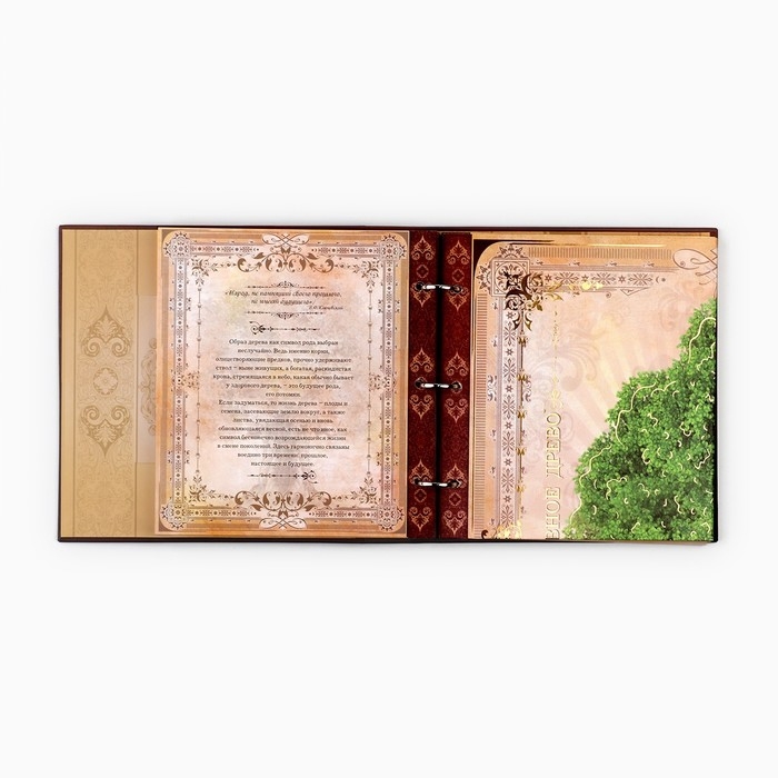 Родословная книга с рамкой под фото &laquo;Семейная летопись&raquo;, 22,5 х 23,7 см.