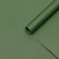Бумага упаковочная крафт &laquo;Изумрудный&raquo;,50&times;70 см
