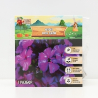 Флокс &laquo;Отэм Джой&raquo; корневище в пакете с торфогрунтом, р-р I, 2 шт.