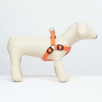 Шлейка светящаяся размер L, стропа 2,5 см, ОГ 43-60 см, 3 режима свечения оранжевая 97722