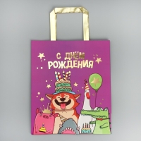 Пакет подарочный, упаковка, &laquo;С Днём рождения!&raquo;, ML 23 х 27 х 11.5 см