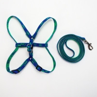 Комплект  "Большая лапа", ширина 1 см, поводок  120 см, шлейка 25-36 см, сине-зелёный