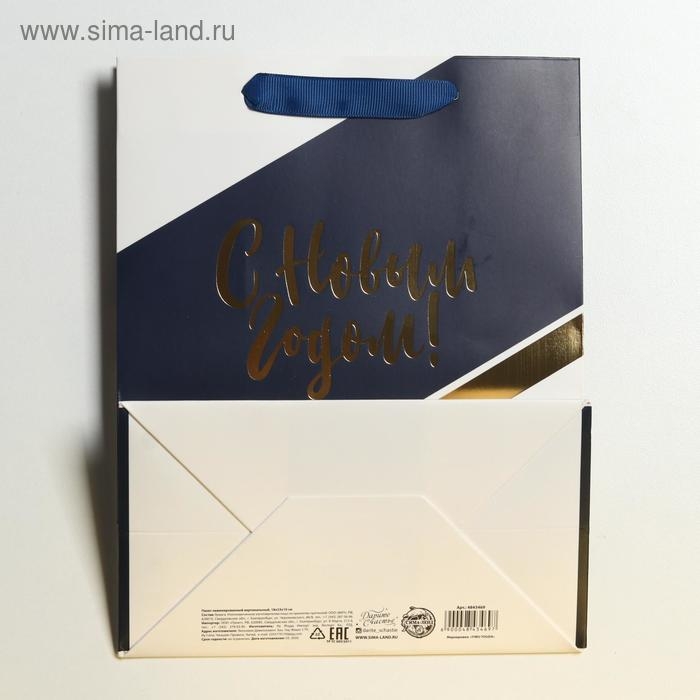 Пакет подарочный новогодний ламинированный &laquo;Удачи в Новом году&raquo;, MS 18 х 23 х 10 см