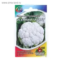 Семена Капуста цветная "Осенний гигант", ц/п, 0,1 г серия ХИТ х3