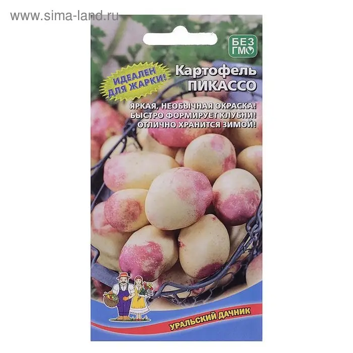 Семена Картофель "Пикассо",  0,02 г