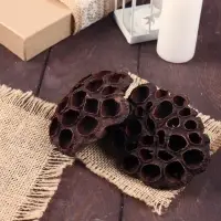 Декор сухоцвет &laquo;Лотос&raquo;, d=8-11 см, коричневый