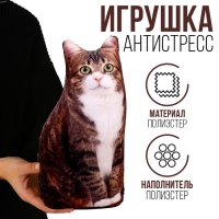 Игрушка антистресс, кот «Васька» Игрушка антистресс, кот «Васька»
