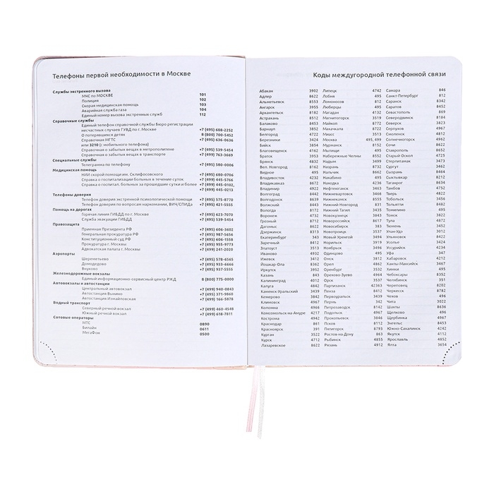 Ежедневник недатированный A5 136 листов, кожзам deVENTE. Elizabeth, твердая обложка с поролоном, перфорация, ляссе, блок 70, розовый