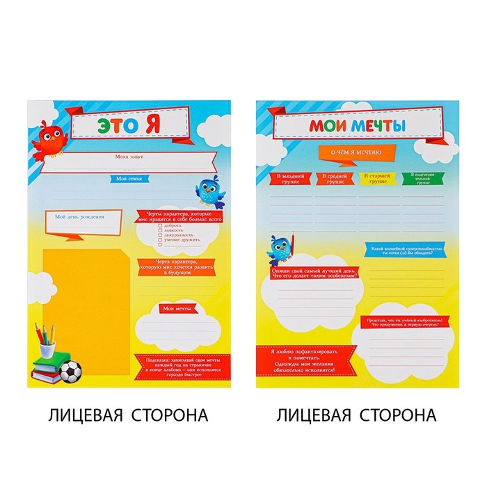 Папка школьная на кольцах &laquo;Портфолио дошкольника&raquo;, 14 листов-разделителей, 24,5 х 32 см.