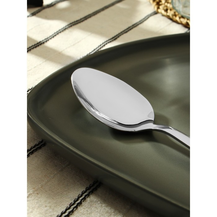 Ложка столовая из нержавеющей стали &laquo;Хоккайдо&raquo;, длина 20,5 см, цвет серебряный