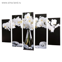 Модульная картина "Белые орхидеи" (2-23х52; 2-24х70; 1-24х80) 120х80см Модульная картина "Белые орхидеи" (2-23х52; 2-24х70; 1-24х80) 120х80см