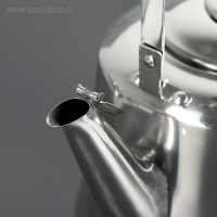 Чайник из нержавеющей стали &laquo;Чайковский&raquo;, 3 л, цвет хромированный