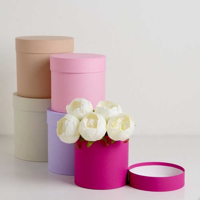 Набор круглых коробок 5 в 1 Набор круглых коробок 5 в 1 "Ягодный", 23 х 23 - 15 х 15 см