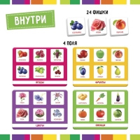 Лото &laquo;Растительный мир&raquo; по методике Г. Домана, 1-4 игрока, 3+