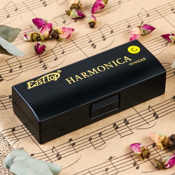 Губная гармошка Music Life T10-3 диатоническая, 10 отверстий, с футляром Губная гармошка Music Life T10-3 диатоническая, 10 отверстий, с футляром