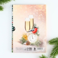 Новый год. Ежедневник в подарочной коробке &laquo;С Новым Годом&raquo;