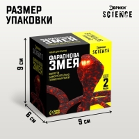 Набор для опытов «Фараонова змея» Набор для опытов «Фараонова змея»