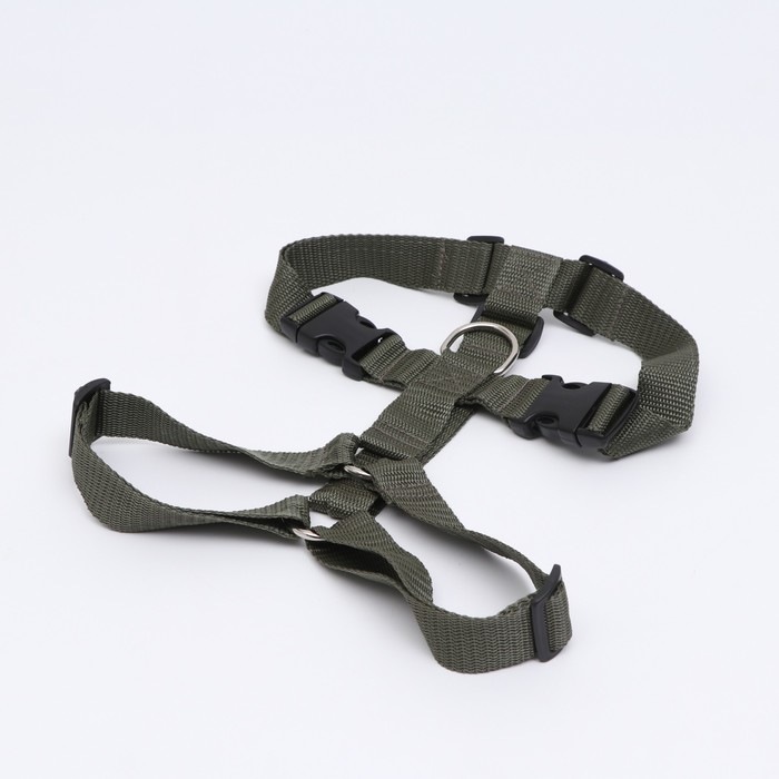 Шлейка большая сложная Зооник, ОШ 48-90 см, ОГ 56-90, ширина 3 см микс цветов Шлейка большая сложная Зооник, ОШ 48-90 см, ОГ 56-90, ширина 3 см микс цветов