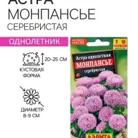 Семена Астра Монпансье серебристая   Одн Ц/П 0,2г