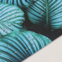 Фотофон двусторонний картон плотность 350 гр "Листья" 50х50 см Фотофон двусторонний картон плотность 350 гр "Листья" 50х50 см