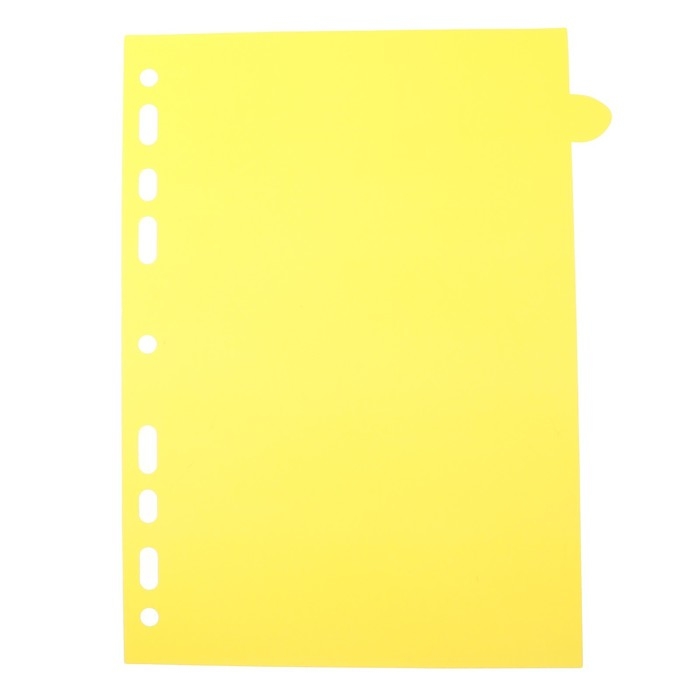 Разделитель листов A5 (210 x 165 мм) цветовой, 12 листов, "deVENTE. Pastel" полипропилен 140 мкм, индивидуальная упаковка